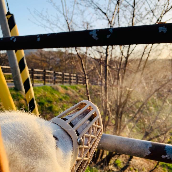 6ba56bab 43f1 4b1d 8e0c 0812f7e9a220 1619126257253