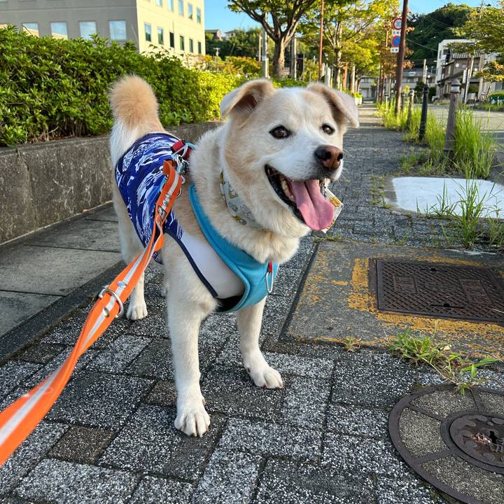 6ba56bdc f6c5 465f 9de0 2414f5e44029 1693528310319