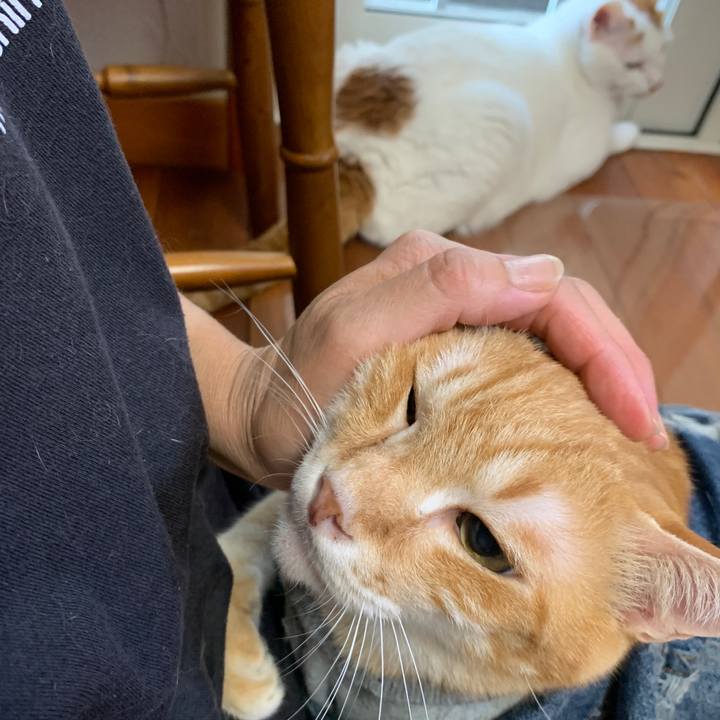 6ba5757e 2e65 423e 88dc db9474a4886f 1656021637058