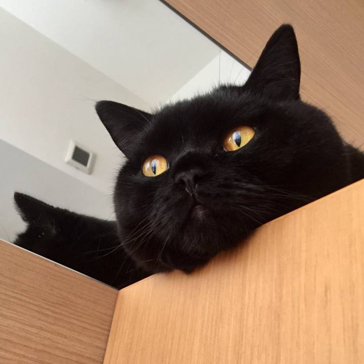 6ba57640 6c3b 4cd2 b612 4fc3bb00d548 1567807527637