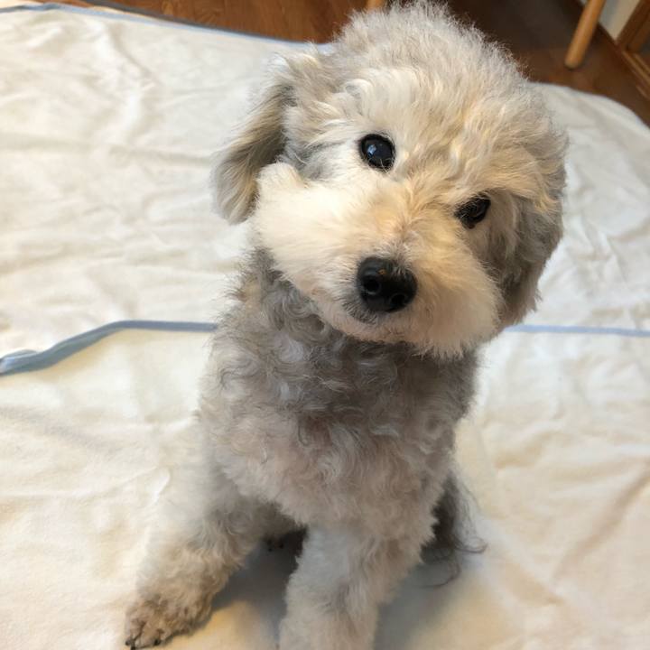 6ba579c9 3be7 409e acbb c6e2ac2f9147 1540162829115