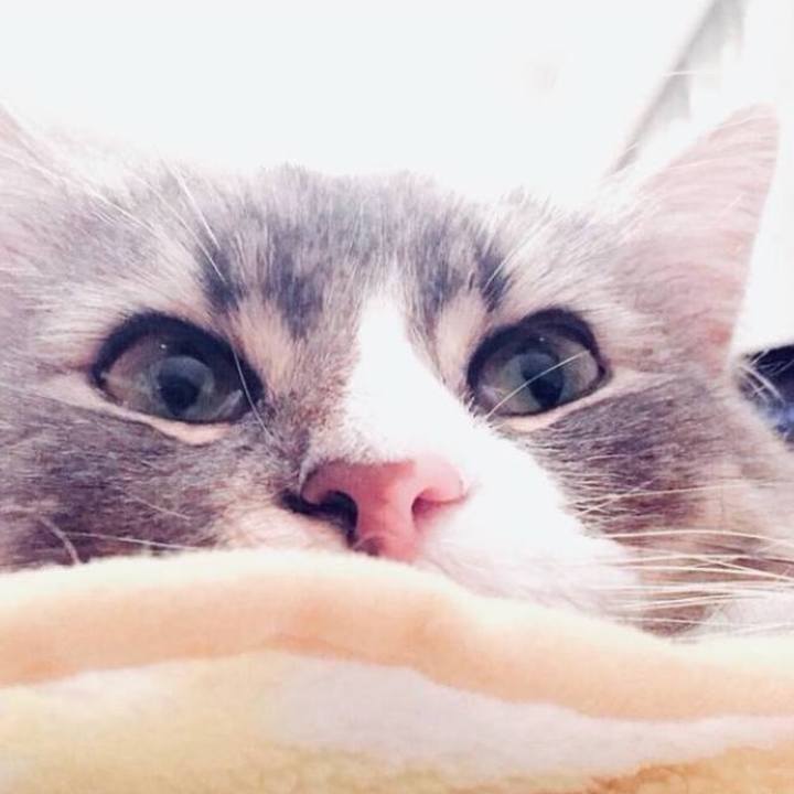 6ba59f8a 9f14 4083 a2c5 1d6caec4d84a 1761748019123