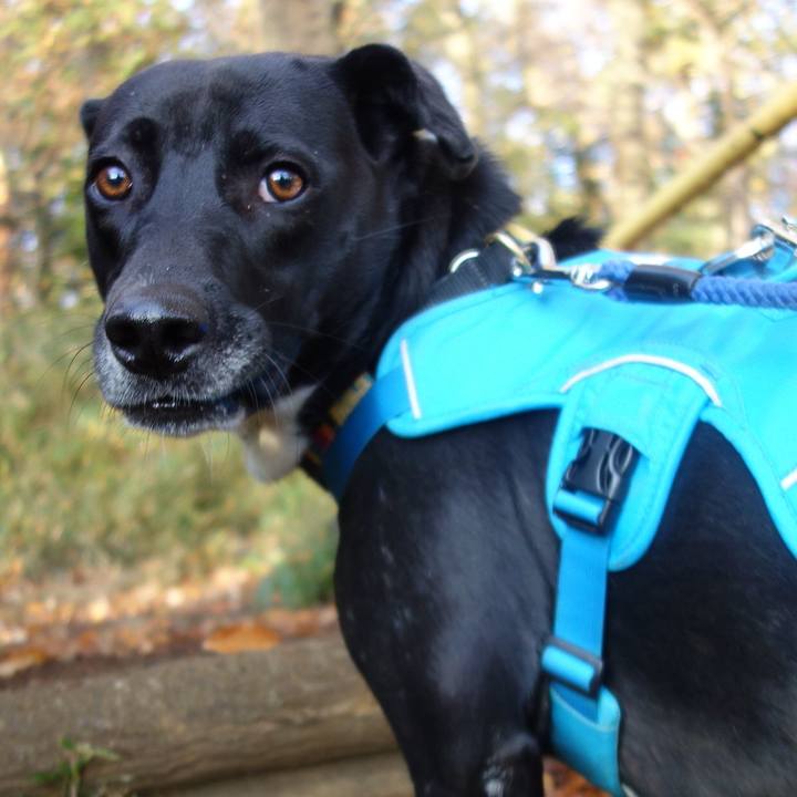 6ba5b798 a686 4d9d a13e daf46758f11c 1607213308555