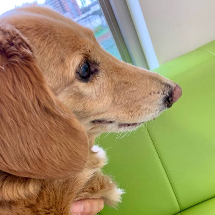 6ba5ca2d 27ae 4b40 bd89 8eb53cd01ddf 1606476029480