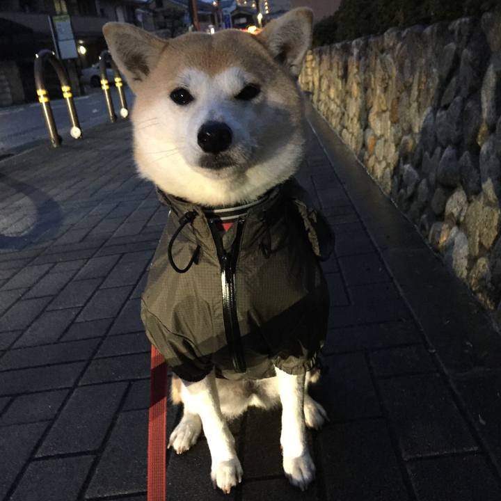 6ba5d0f5 b959 4c42 9058 9d77ab047fa0 1515401417947