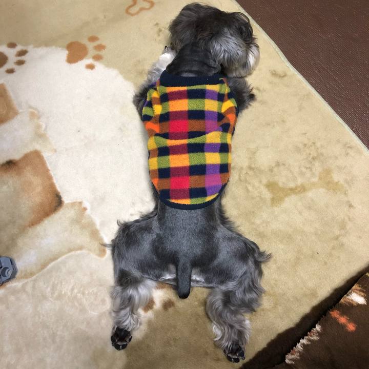 6ba5ed3e d095 4989 a032 d182691a5577 1555681120515