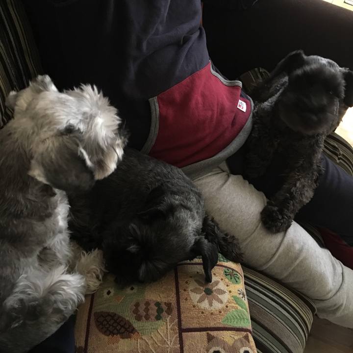 6ba5ede5 a68b 4315 a15c 0e0444c51d36 1509835526648