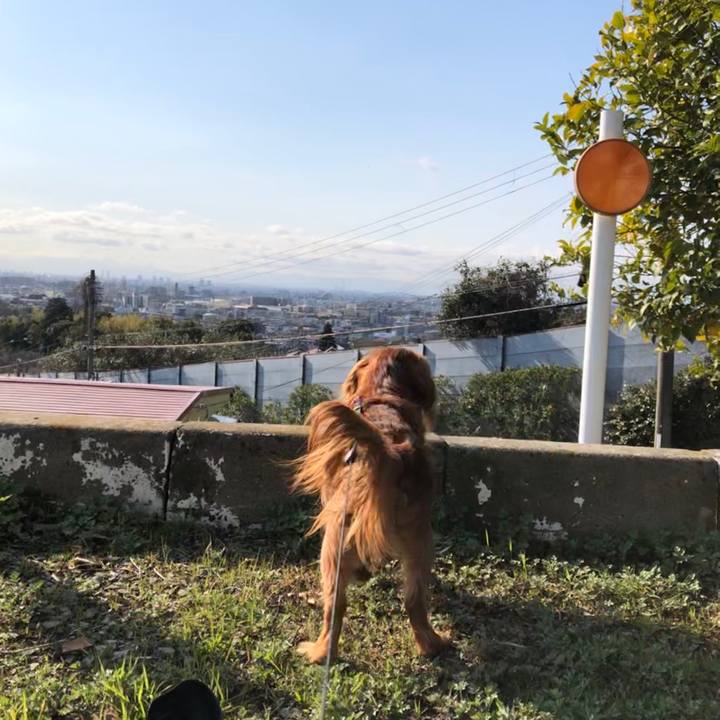 6ba5f3da 34b2 4499 8bf4 59d18219d307 1584231707128