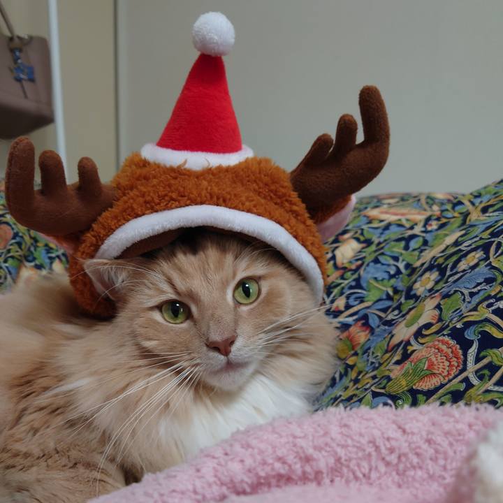 6ba5fa4b 2aca 4ea0 9c66 fbb56fed2e8a 1608779073866