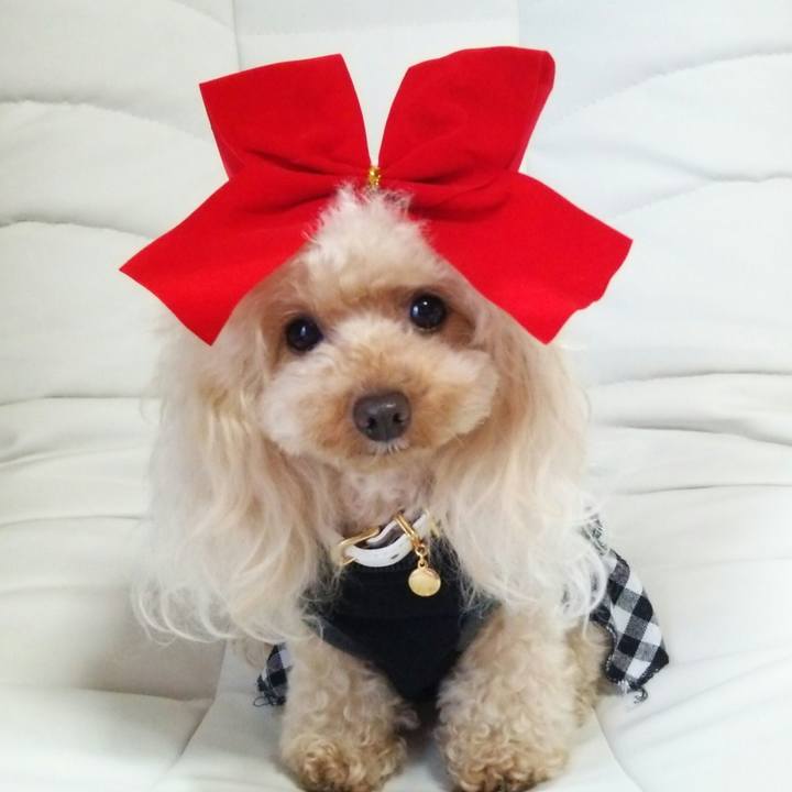 6ba60cd0 5cb9 4863 a161 3927ed094ff1 1542152244878