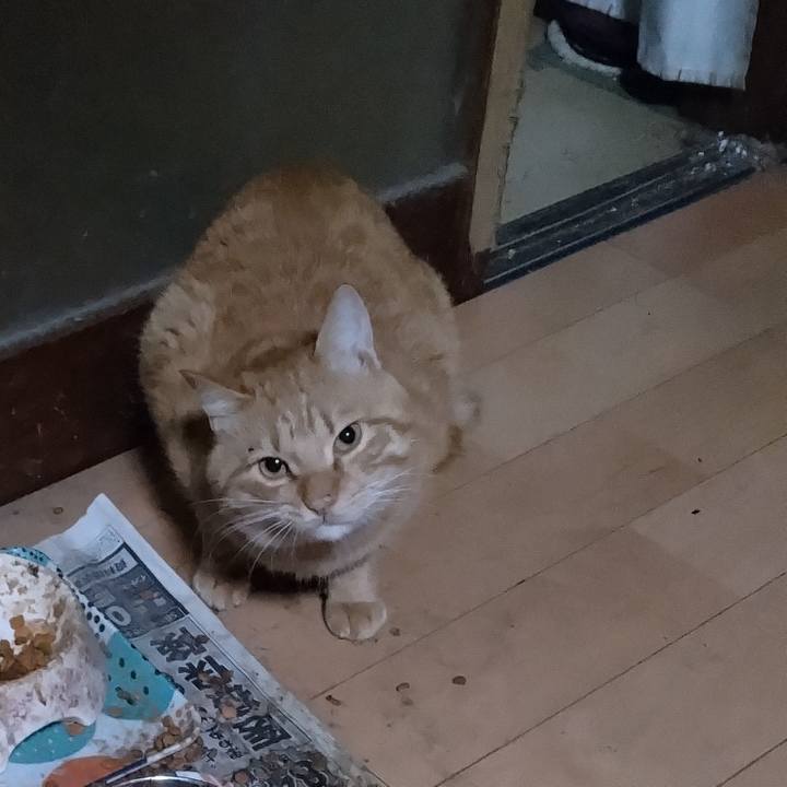 6ba63617 cf62 4490 af1b 90a06b6b87ce 1668983576221