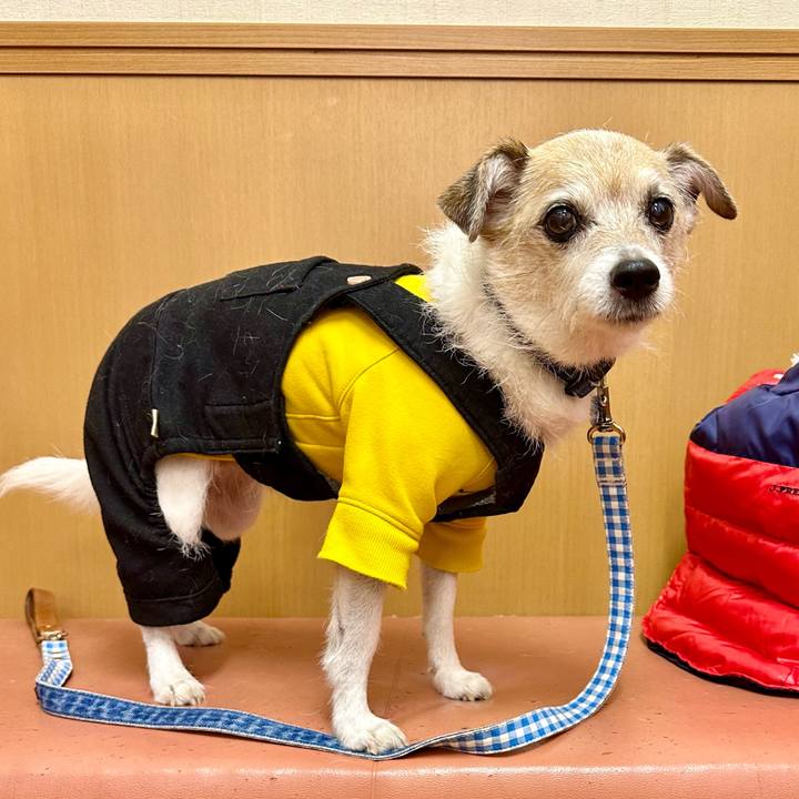 6ba64010 3328 4b6b a471 0d6e2d81543c 1705124452271