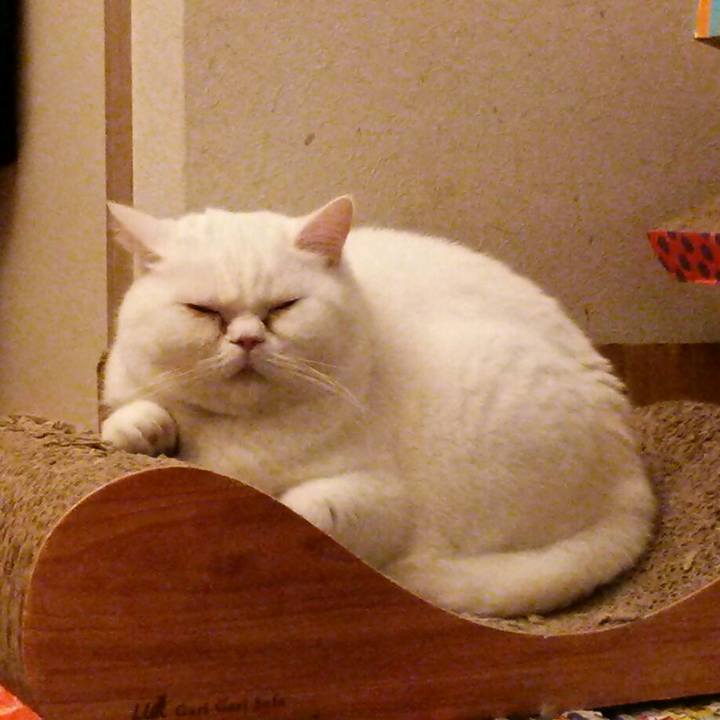 6ba6451d 20c3 498d 84f4 13047c287bf1 1517310805960