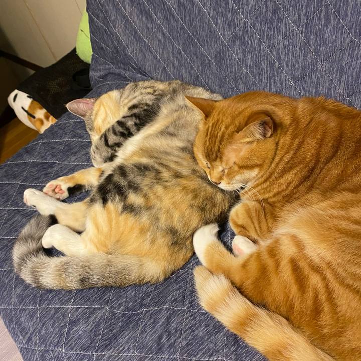 6ba660d6 43d2 4afb acd3 1d6f092d7c1b 1623081455672