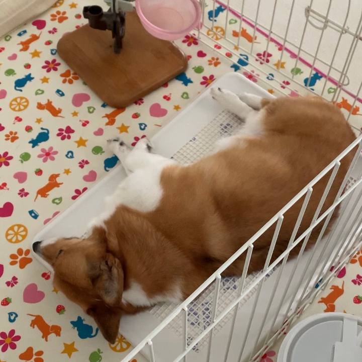 6ba6d919 c9b9 4b75 864e a4fbd2857506 1663813567223