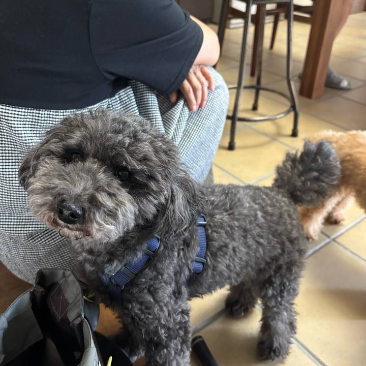 6ba6fd07 d501 4a8e 8fc5 bc88f510a296 1757737082617