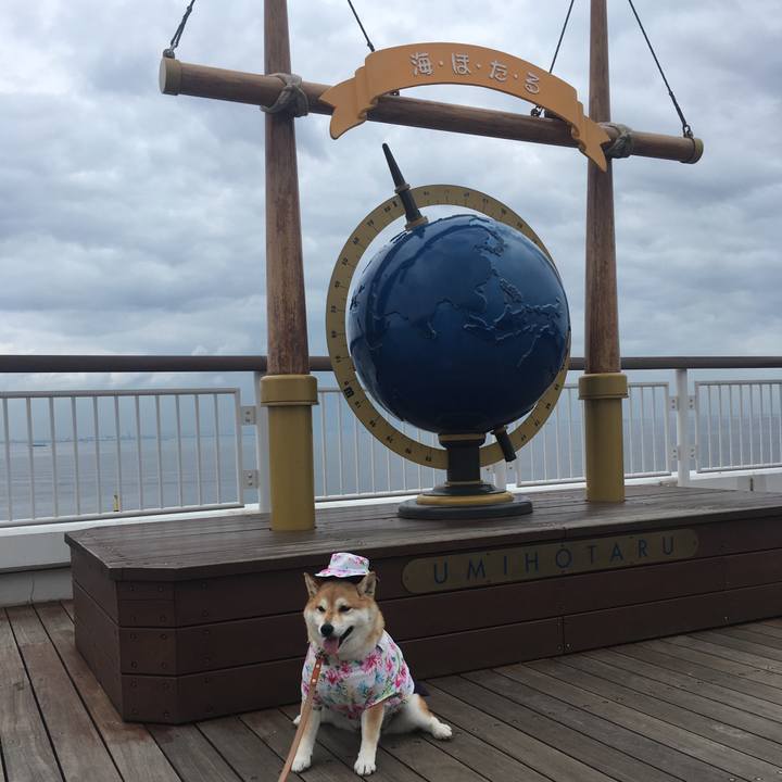 6ba71e7d ce52 4fad a311 d0d70cb20b34 1563421580442