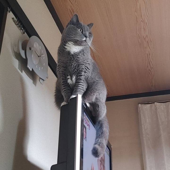 6ba73957 c944 4735 a502 6a3cb7ba3522 1633090215261