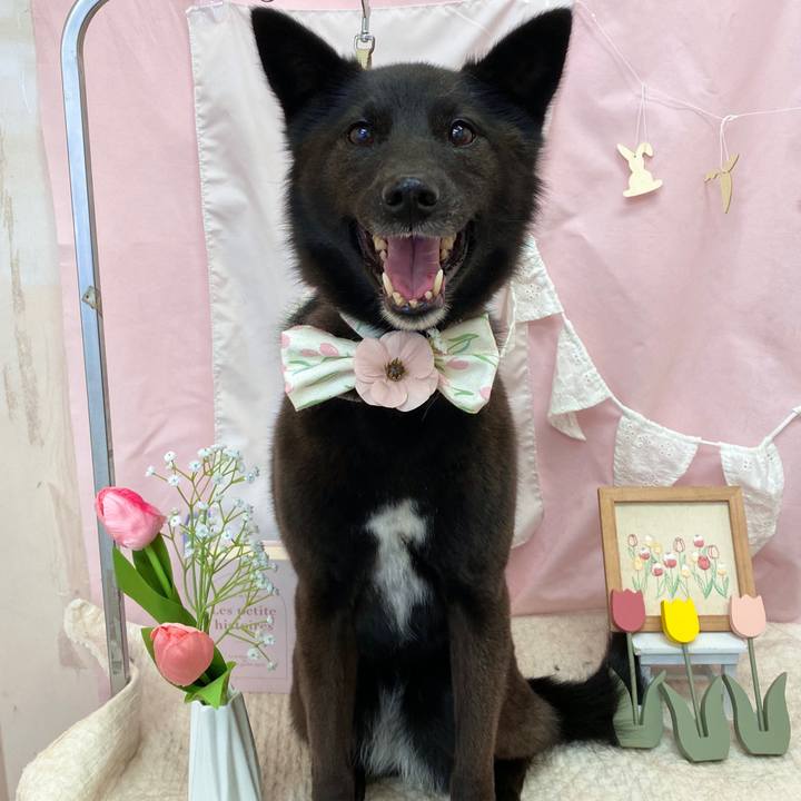 6ba78fb2 1b9c 415b b8ce d13d0e224e24 1679101201118