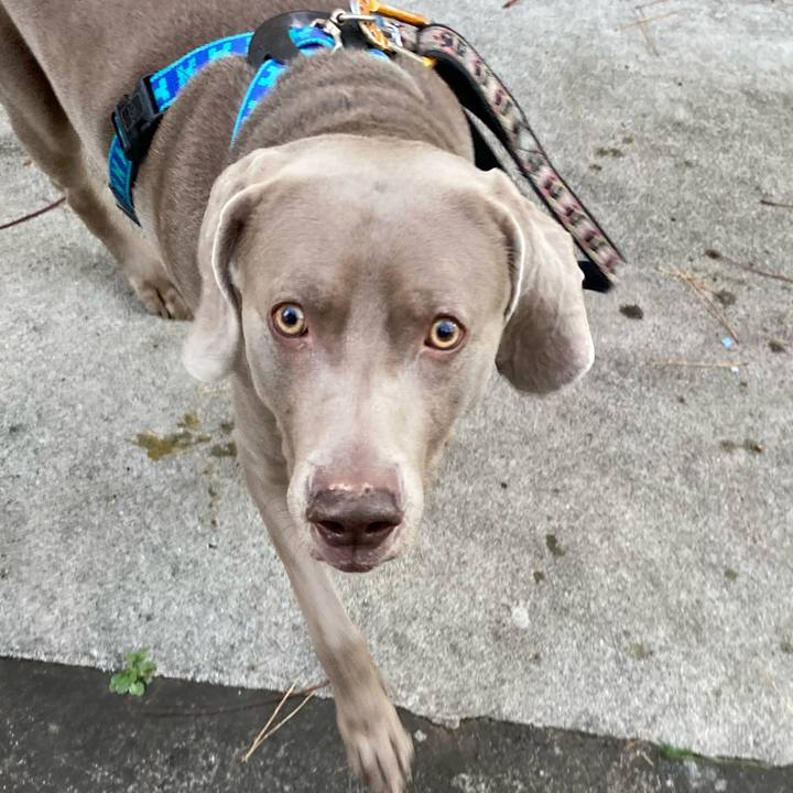 6ba7a5a9 a177 4772 b128 c876cd33e508 1640335206343