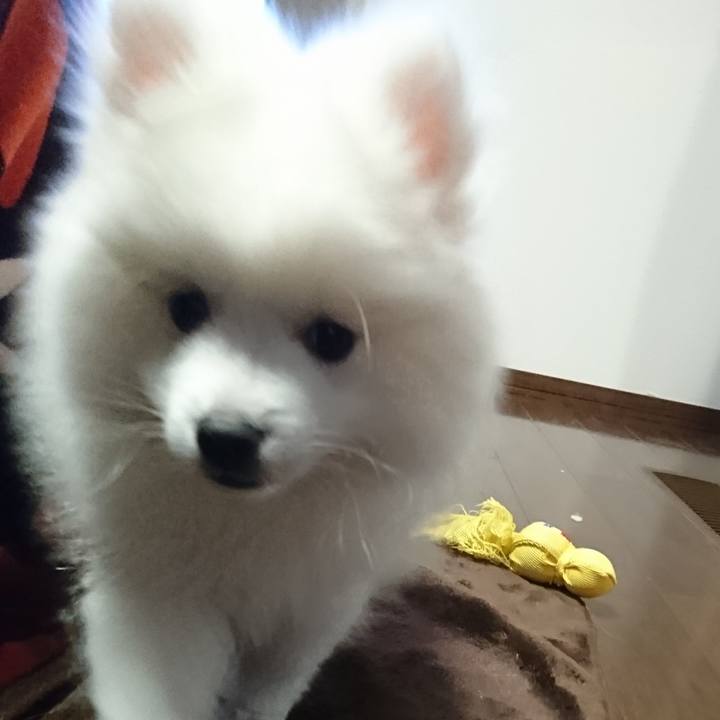 6ba7cede 3b6b 4a2f 90e8 1ac150d87df6 1545893733345