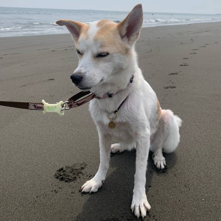 6ba7e3cc 7af4 4cdd 8457 05b357aeabfa 1653397148782