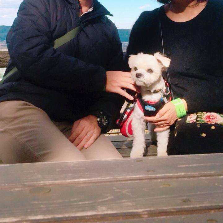 6ba7e5f3 d742 4ba9 8887 4a4d86de24bb 1511178342941