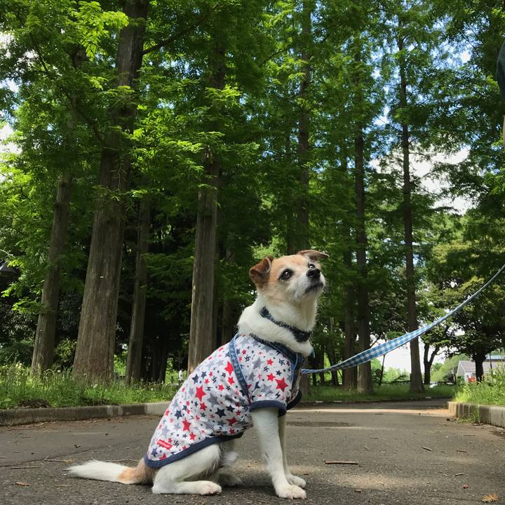 6ba7fb8e 47f5 4c84 8dde a2146edf8769 1653198606833