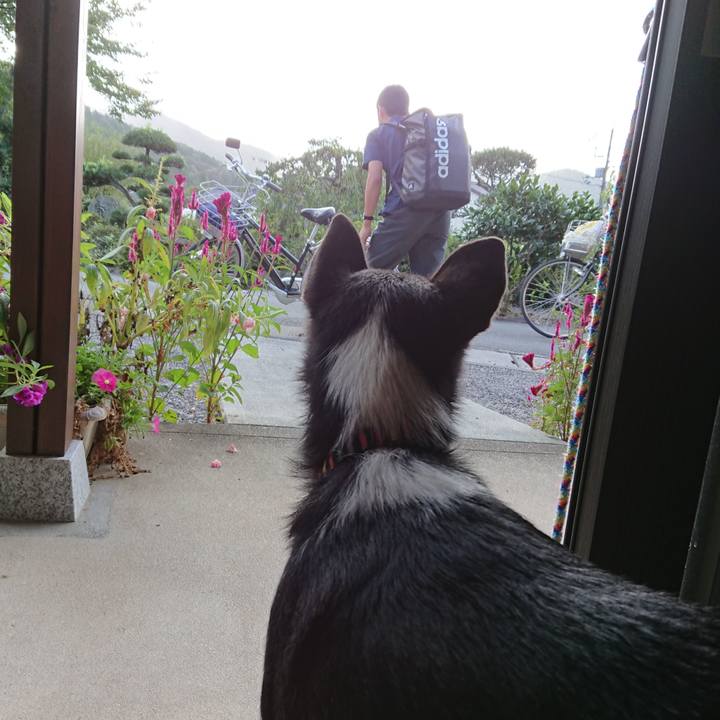 6ba81a89 73e4 4ba4 8ed0 8d8cf0d50c51 1568849118184