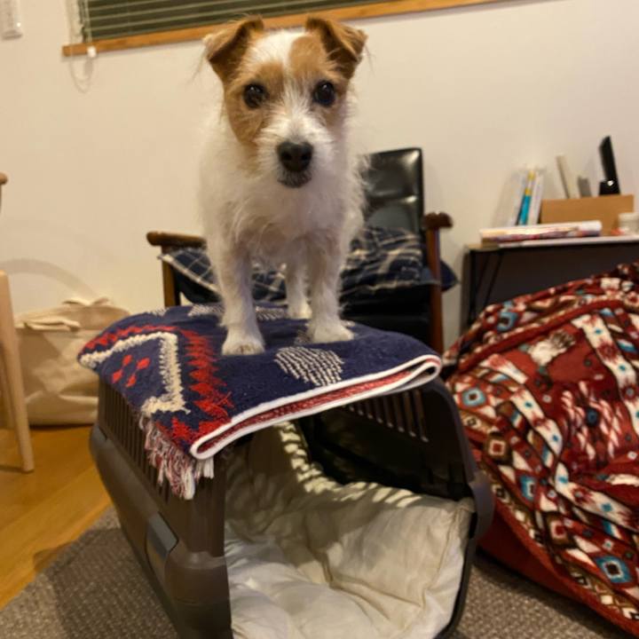 6ba841dd 0a50 4b99 8e14 3cd5b1acd2a9 1644495776522