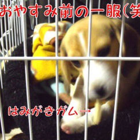 6ba84c9f c2b2 4ca8 bcfe 9743c7ecf9c7 1679359817403