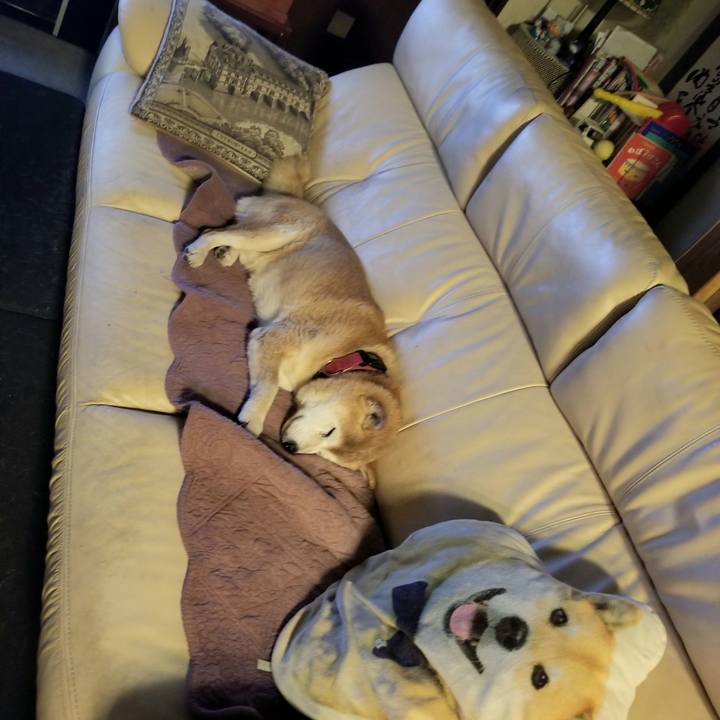 6ba84f65 a699 4a6a a058 b62fa0384615 1738486246982