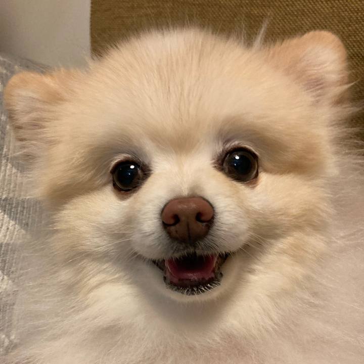 6ba853c0 8aa7 40c2 b329 f6d4ca9ad970 1765062283103