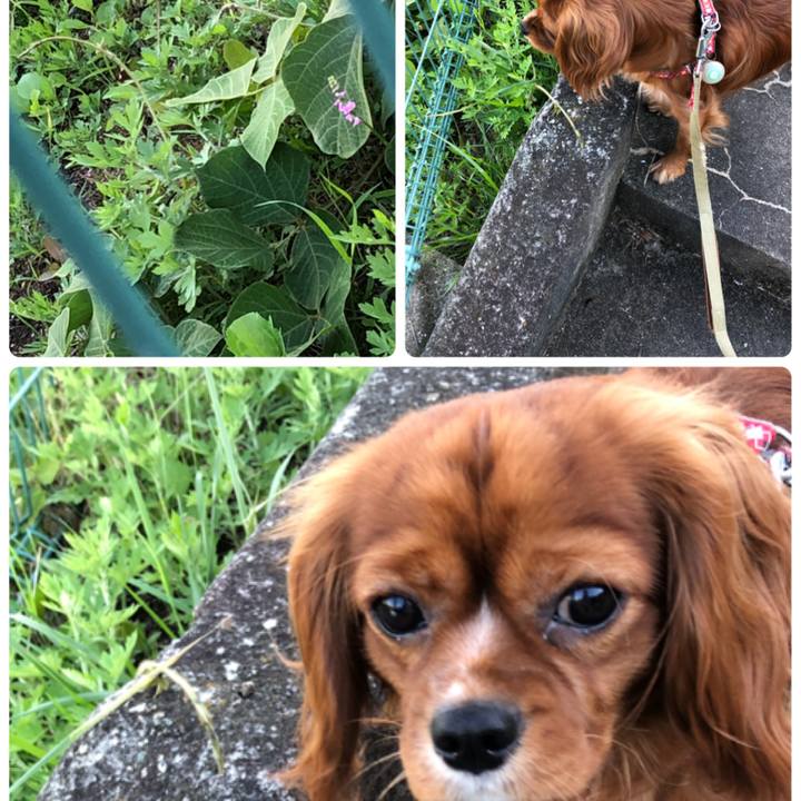 6ba862f9 e027 4d0b 926a 61573eea92d6 1529146718344