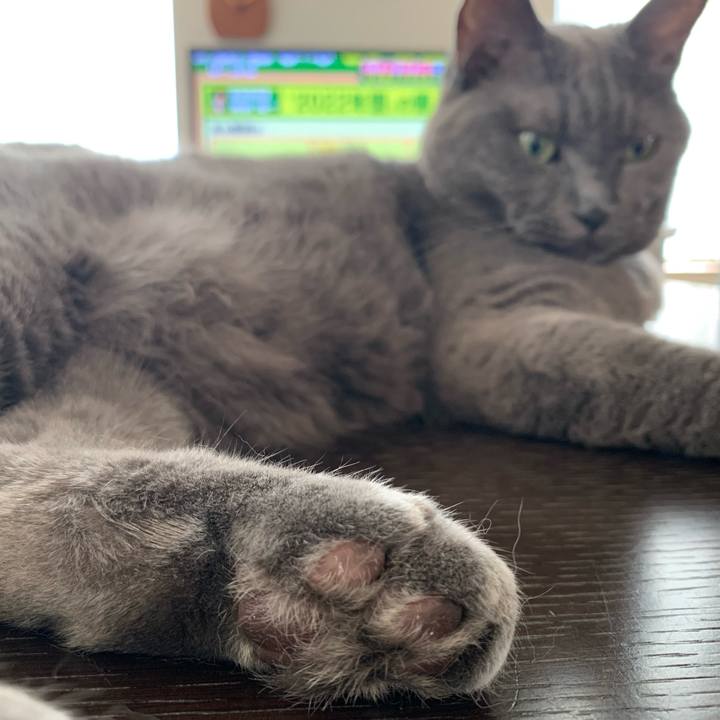 6ba8687e af83 4062 9f40 b6a7301b9c08 1665607393551