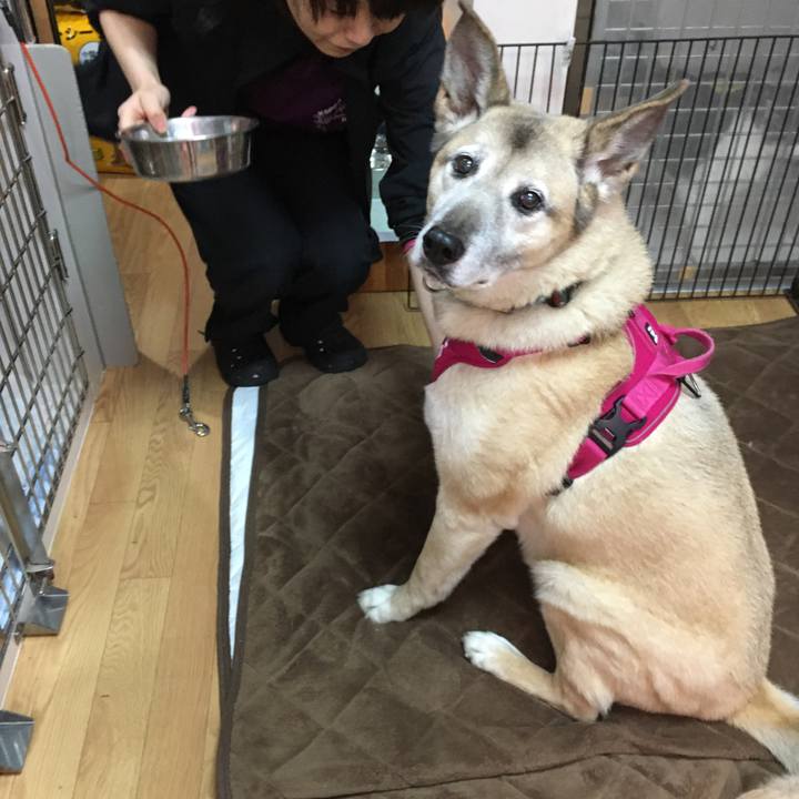 6ba891db 7f66 4ed5 92d8 b9a8c4c30abc 1581986523142