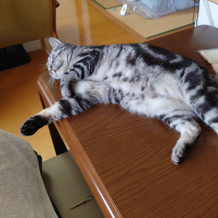 6ba8d2a5 b503 42a4 b30d 131950852db4 1656486111899