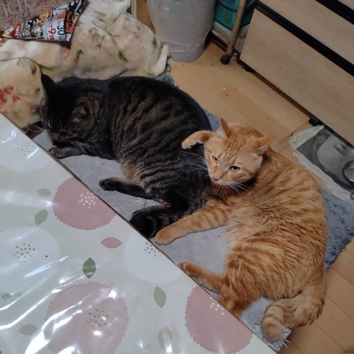 6ba8f004 d43b 4ef0 97ab 05eb406a99b4 1672383948251