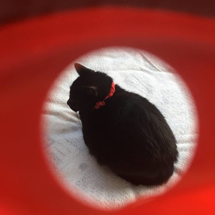 6ba90837 5e59 4d1b 976f 664258aa1109 1549146126406