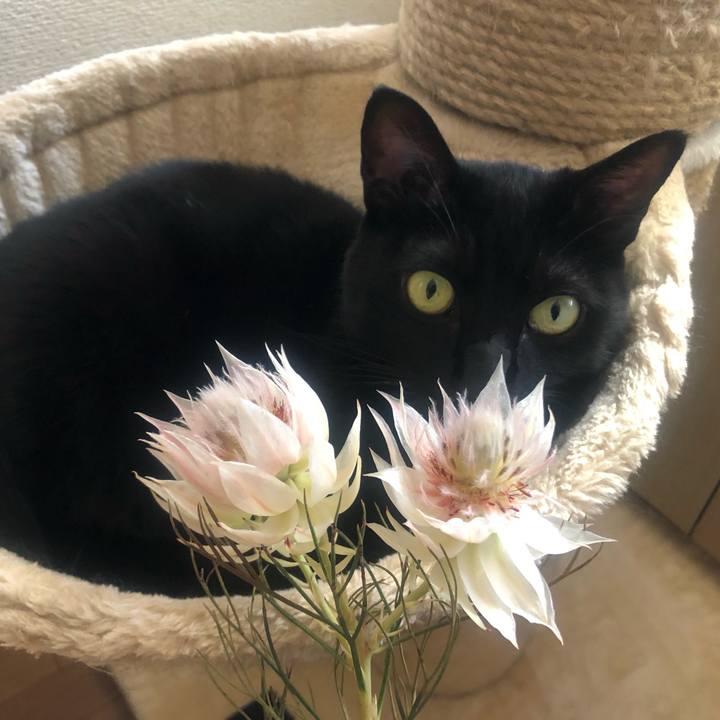 6ba95c9e 5ef2 4e58 875c 13bcb66d7d33 1666234681217