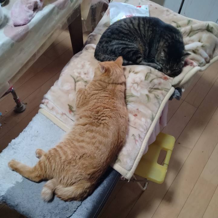 6ba96631 65df 43c9 95ad 16eec9386962 1673930265786