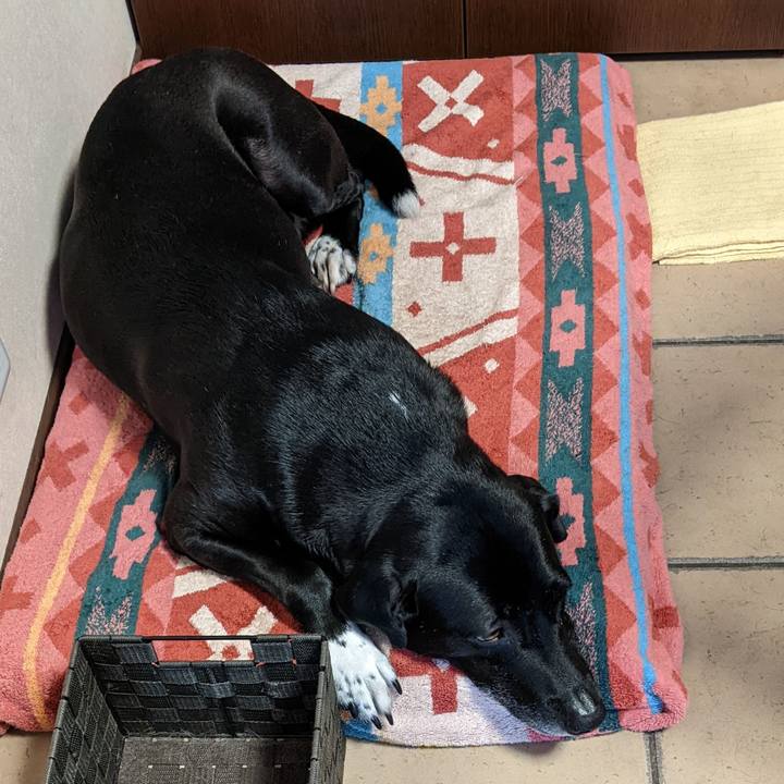 6ba96857 f3ae 4531 b899 8fca98cf79d0 1653561240238