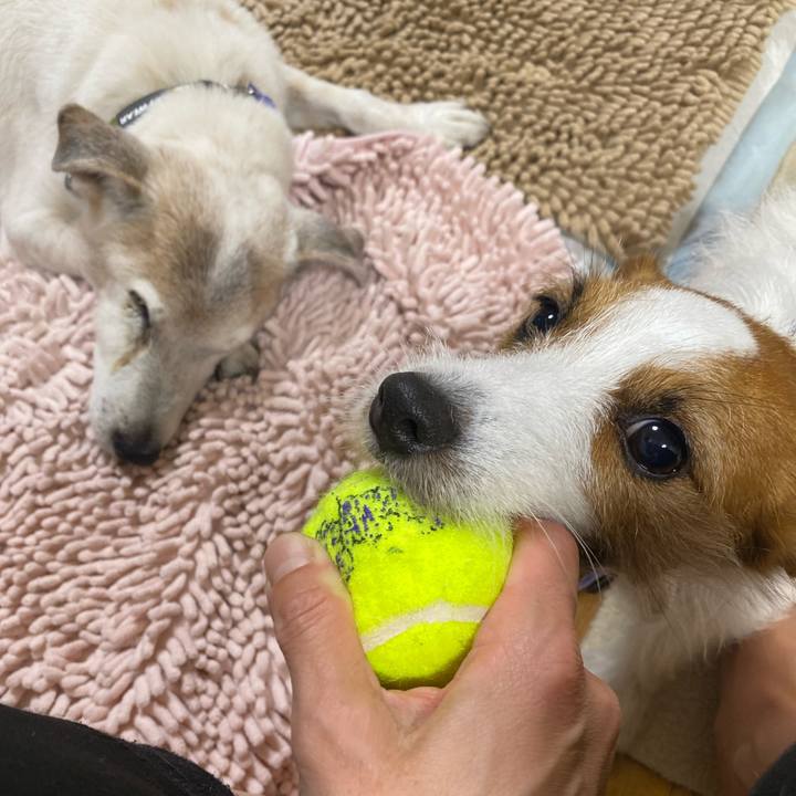 6ba97760 99c5 4f81 855b 1b578238a59c 1729171535277