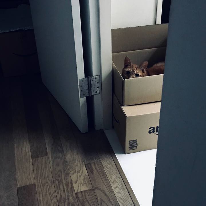 6ba97ed7 3a88 4fa4 ac93 3dfaac9790dc 1568692037234