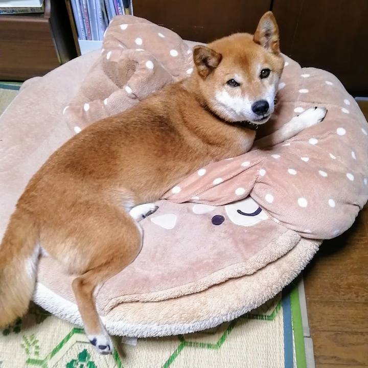 6ba99819 bd75 4802 8957 bf30cba6ea37 1624877490553