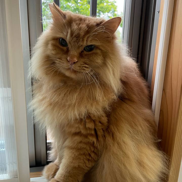 6ba99a6c 2136 4ea4 a753 531f060dbc05 1653080926707