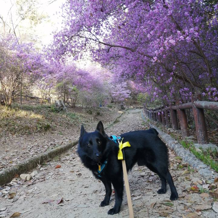 6ba9fa98 073c 438e 98b1 b3368ed544ed 1649023575264