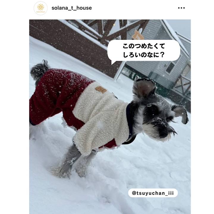 6baa17ea bcdc 40c2 8359 65e3851971f0 1717977478456