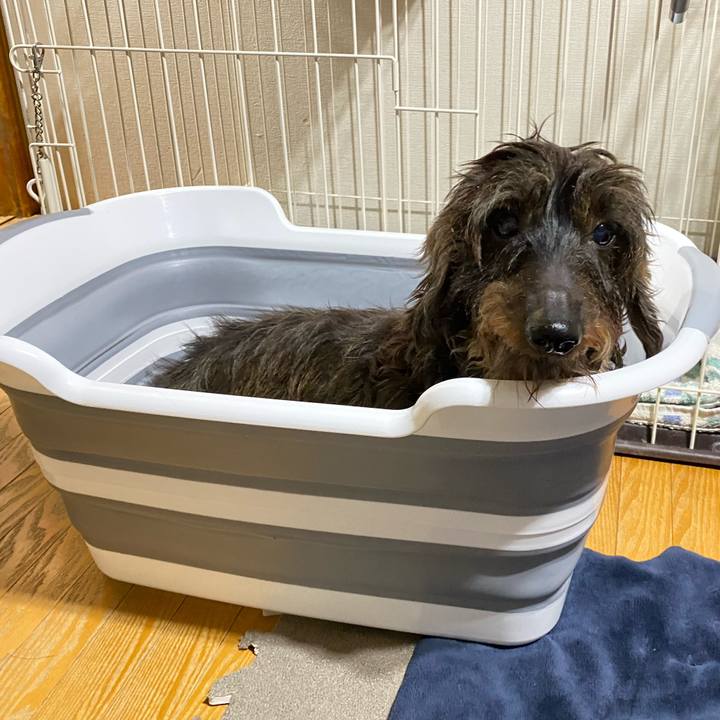 6baa5170 19fd 45db a52f ac182c449f3c 1605617358557