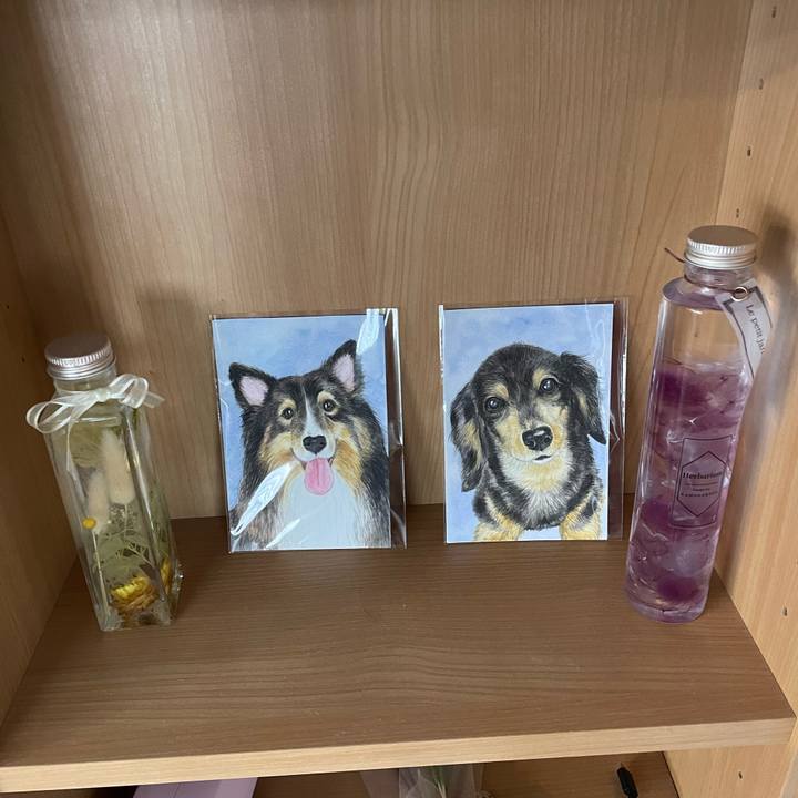 6baa6a6c 4913 4103 a035 5c88719fb66b 1697608152530